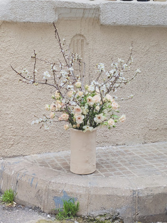 Almond Forest