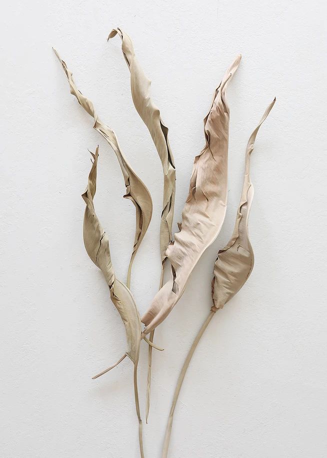 Botanical Centerpiece