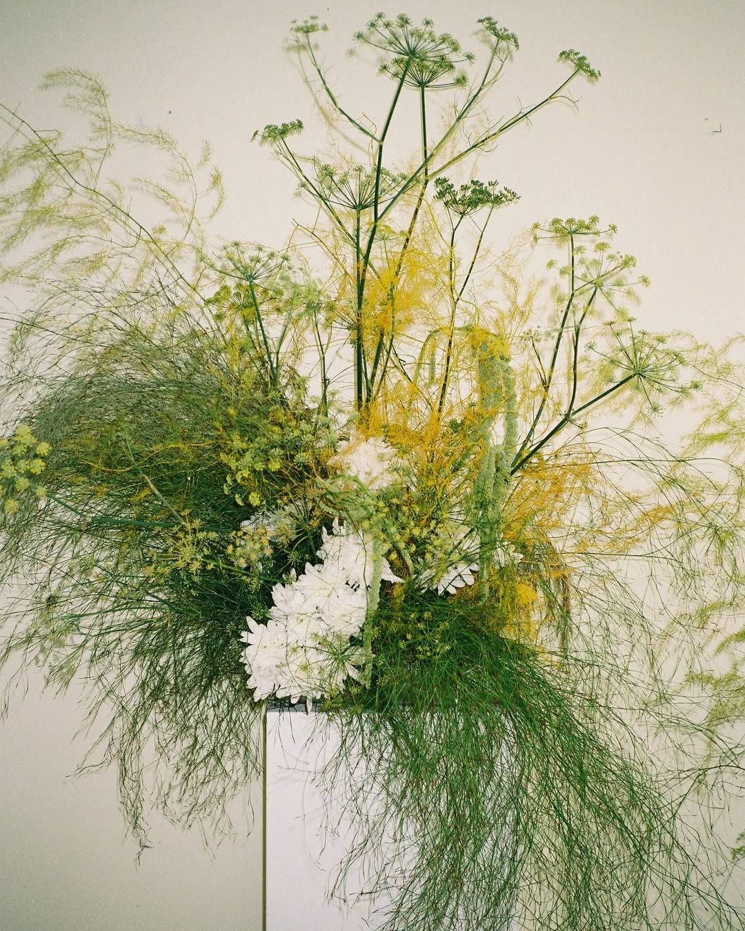 Botanical Centerpiece