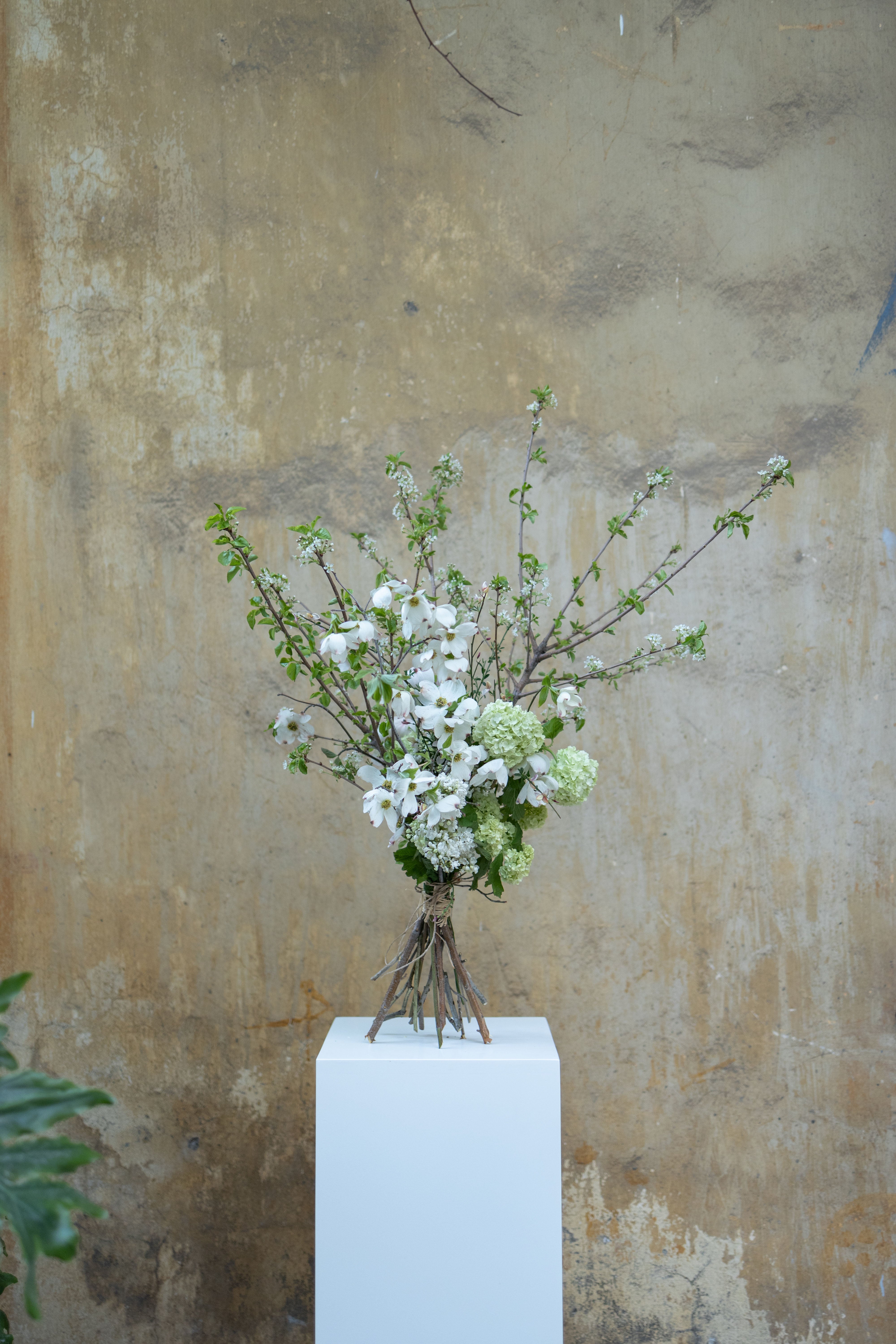 FLORAL SUBSCRIPTION
